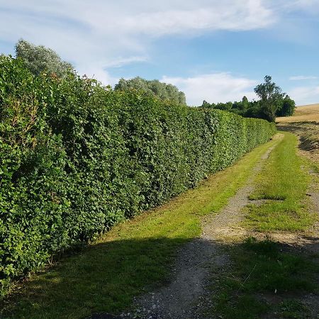 Maison Moderne A La Campagne Bezinghem Eksteriør bilde
