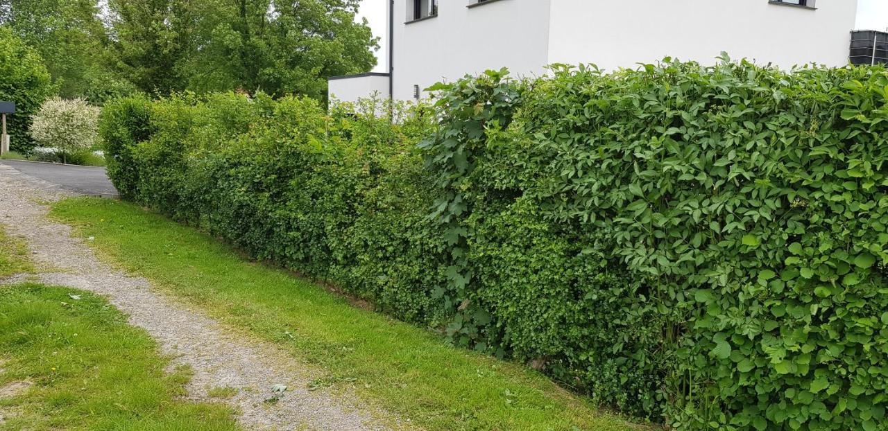 Maison Moderne A La Campagne Bezinghem Eksteriør bilde
