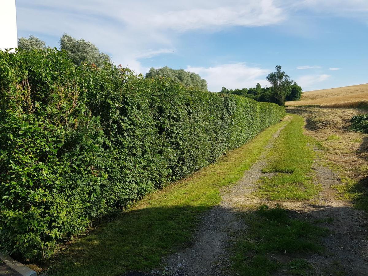 Maison Moderne A La Campagne Bezinghem Eksteriør bilde